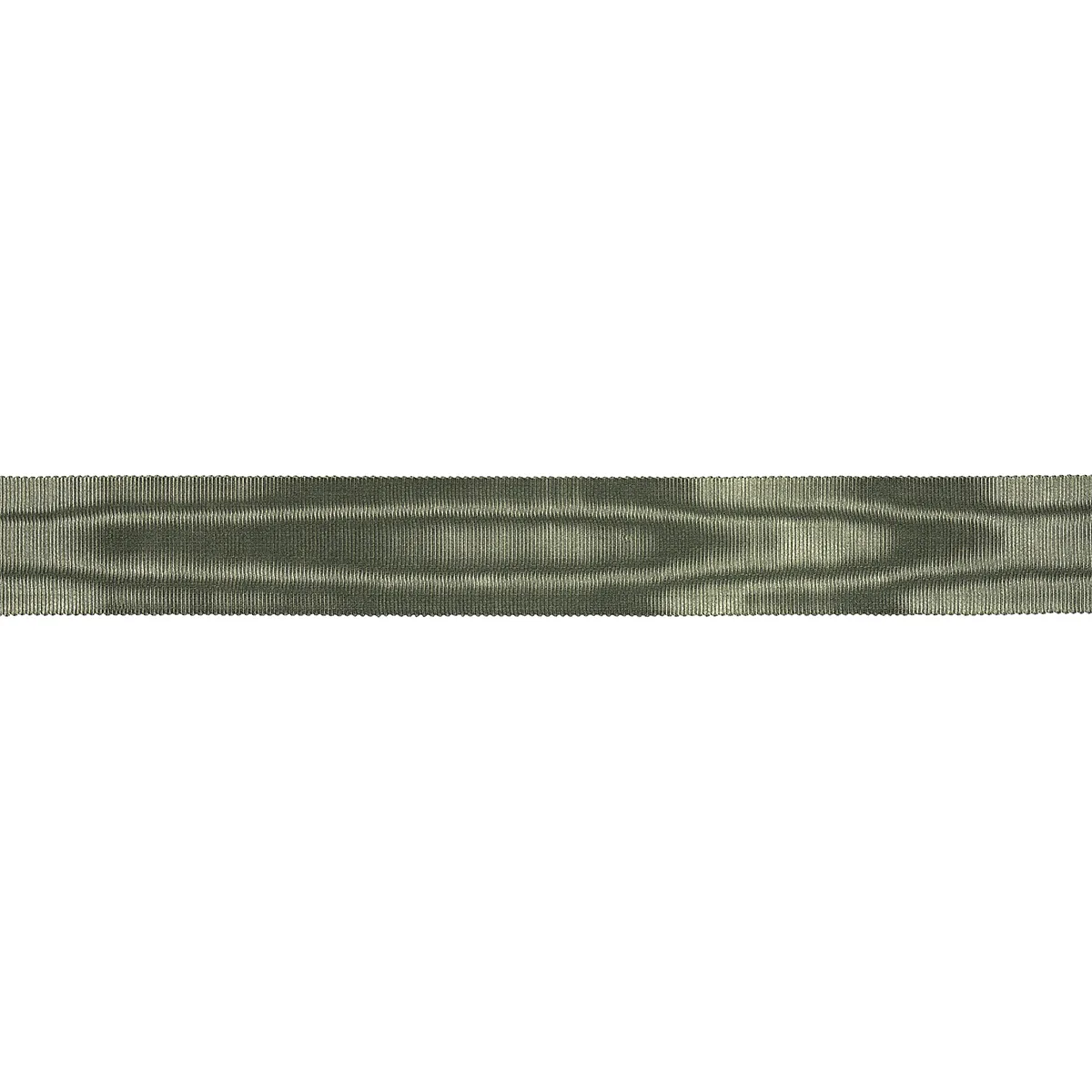 Schumacher Dutchess Tape trim in Sage (82807)