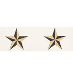 Schumacher Etoile Tape trim in Gold (75830)