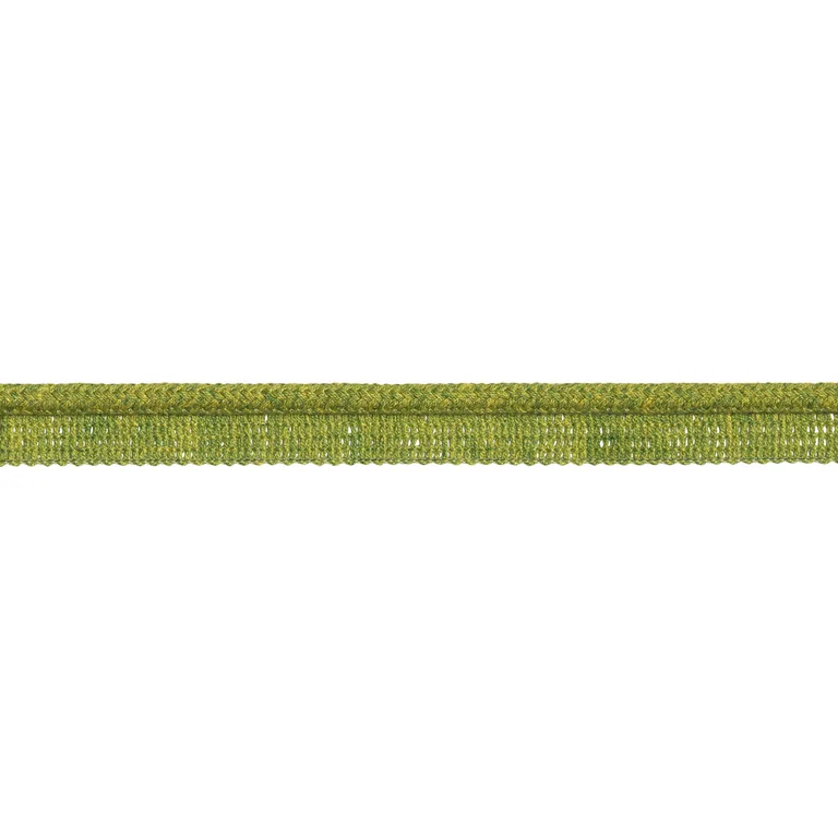 Schumacher Eubie Lip Cord Indoor/Outdoor trim in Leaf (86500)