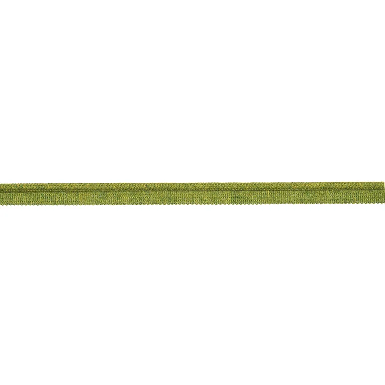 Schumacher Eubie Lip Cord Indoor/Outdoor trim in Leaf (86500)