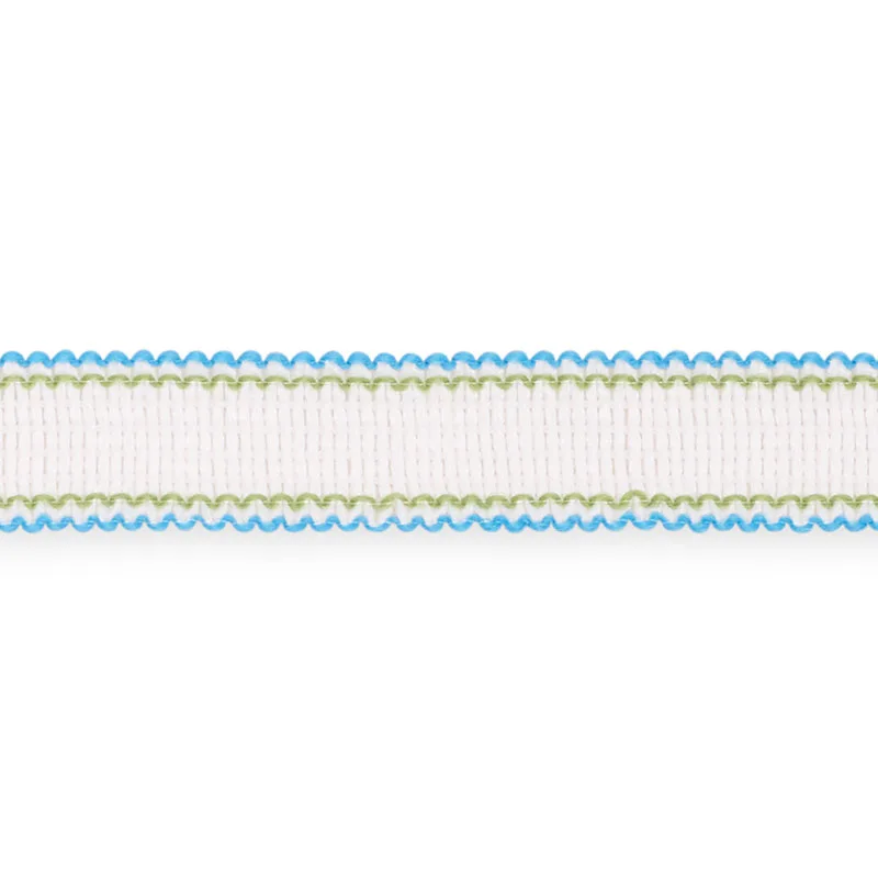 Schumacher Filippa Tape Indoor/Outdoor trim in Aqua (73571)
