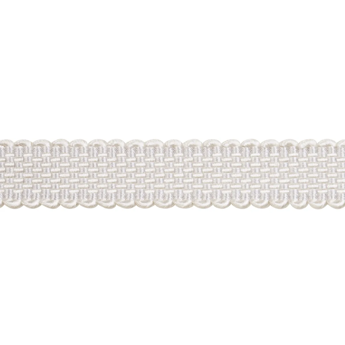 Schumacher Frances Silk Gimp trim in Grey (83361)