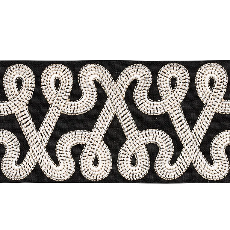 Schumacher Freeform Embroidered Tape trim in Black (76733)