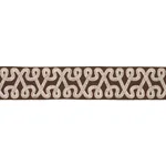 Schumacher Freeform Embroidered Tape trim in Chocolate (76736)