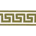 Schumacher Ganton Tape Indoor/Outdoor trim in Grass (72397)