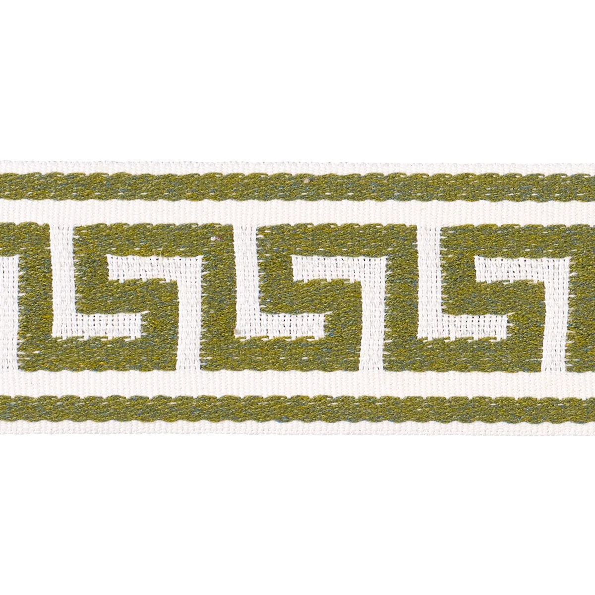 Schumacher Ganton Tape Indoor/Outdoor trim in Grass (72397)