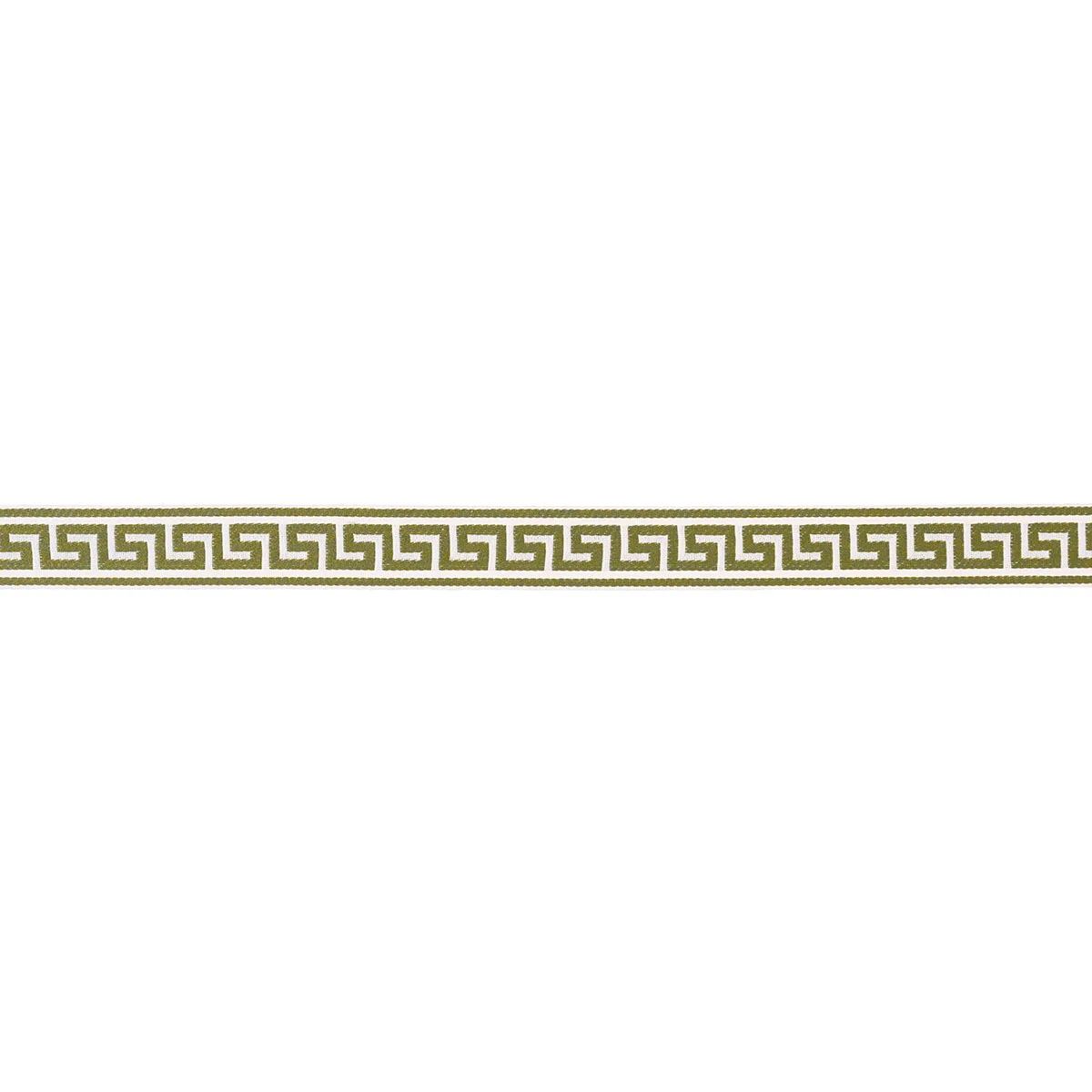 Schumacher Ganton Tape Indoor/Outdoor trim in Grass (72397)
