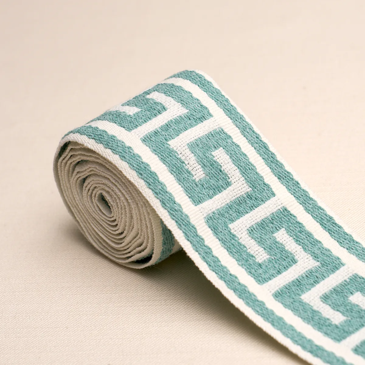 Schumacher Ganton Tape Indoor/Outdoor trim in Teal (72396)