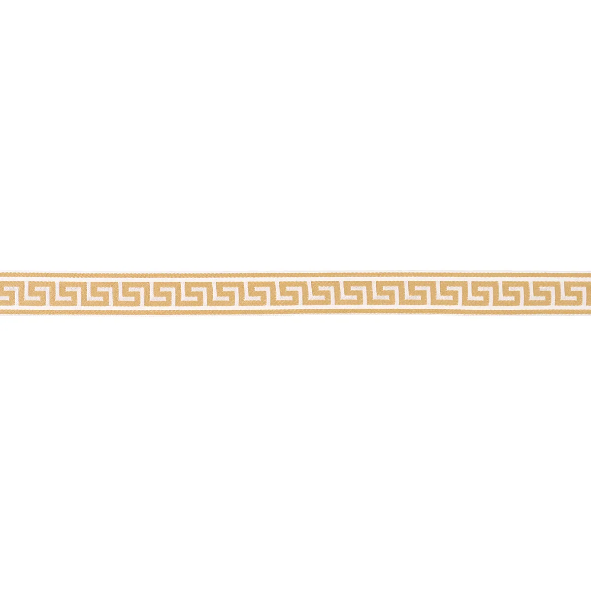 Schumacher Ganton Tape Indoor/Outdoor trim in Yellow (72398)