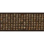 70692 | Gardner Tape - Bronze Schumacher Gardner Tape trim in Bronze (70692)