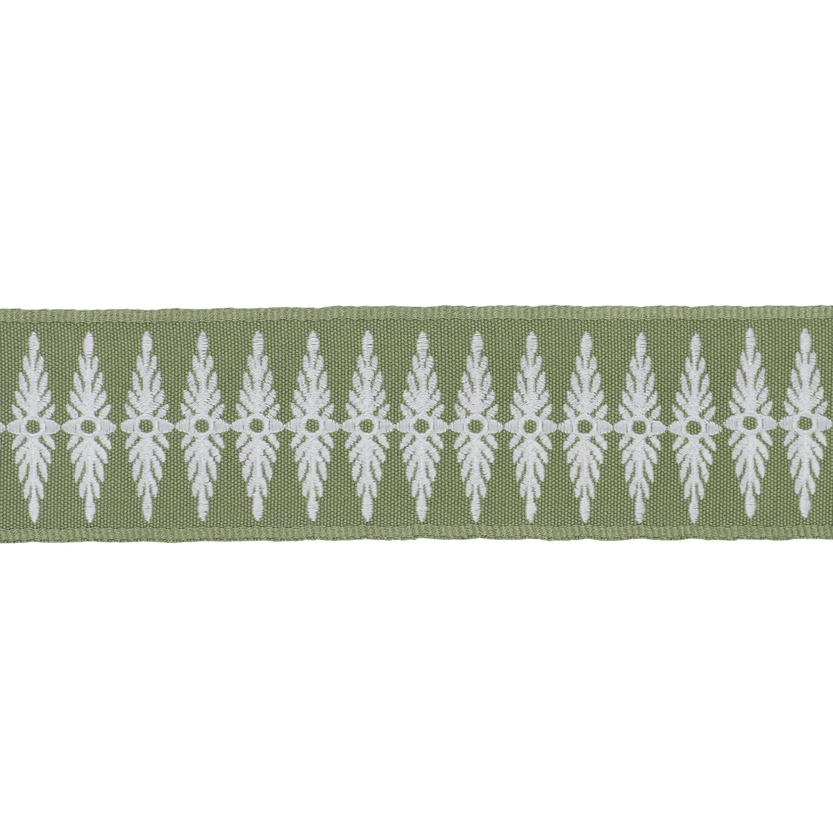 Schumacher Genevieve Embroidered Tape trim in Green (86324)