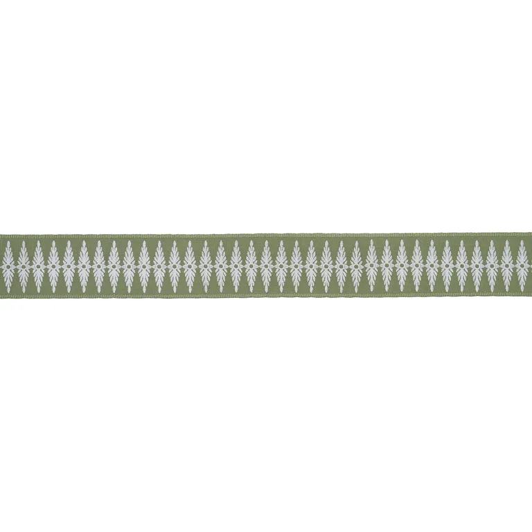 Schumacher Genevieve Embroidered Tape trim in Green (86324)