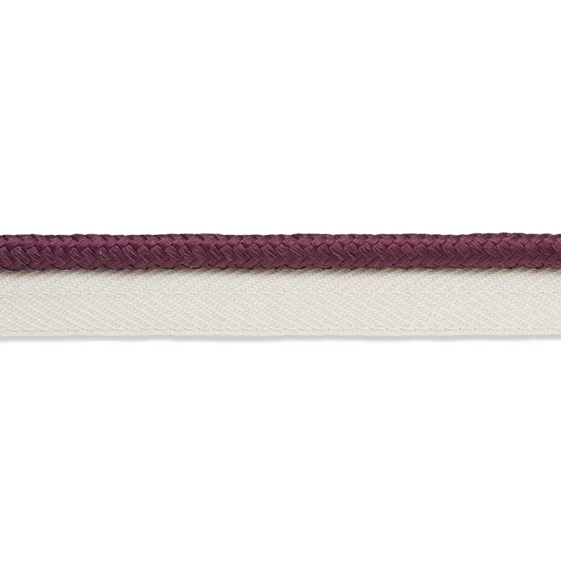 Schumacher Gustave Silk Lip Cord Medium trim in Eggplant (74555)