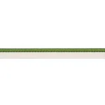 74558 | Gustave Silk Lip Cord Medium - Green Schumacher Gustave Silk Lip Cord Medium trim in Green (74558)