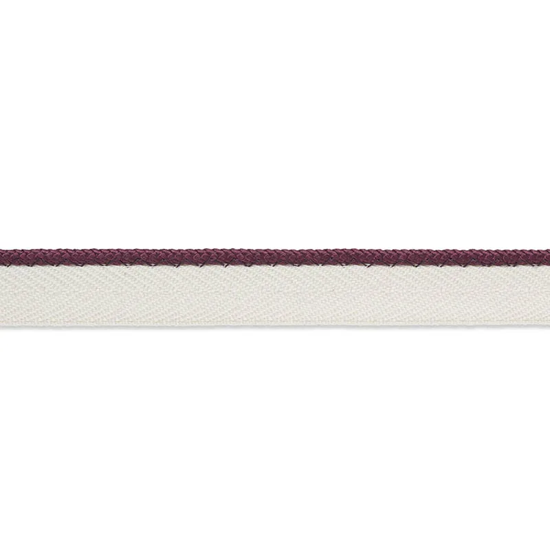 Schumacher Gustave Silk Lip Cord Narrow trim in Eggplant (74535)