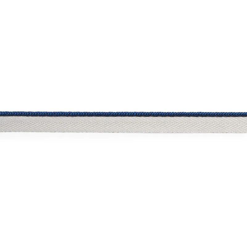 Schumacher Gustave Silk Lip Cord Narrow trim in Navy (74528)