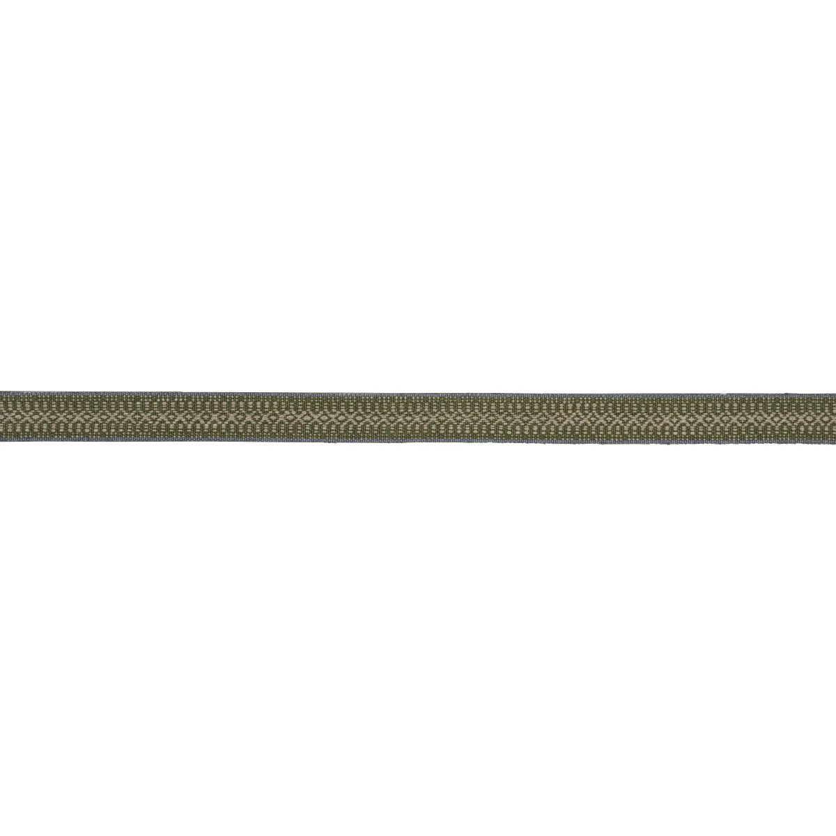 Schumacher Helena Linen Cotton Tape trim in Fern (84022)