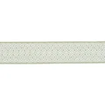 83541 | Infinito Indoor/Outdoor Trim - Sage Schumacher Infinito Indoor/Outdoor Trim in Sage (83541)