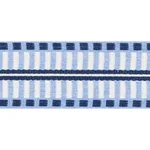 73631 | Jacobsen Tape Indoor/Outdoor - Chambray Schumacher Jacobsen Tape Indoor/Outdoor trim in Chambray (73631)