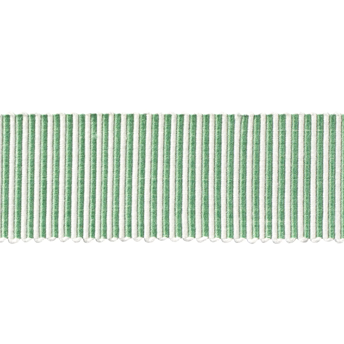 Schumacher Knox Tape trim in Green (75588)