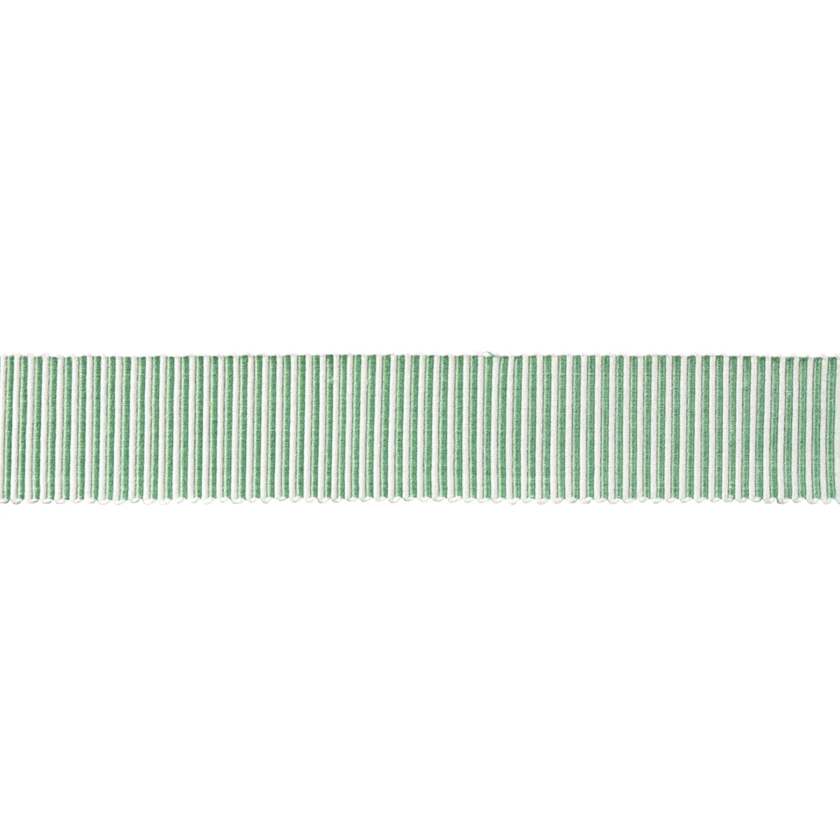 Schumacher Knox Tape trim in Green (75588)
