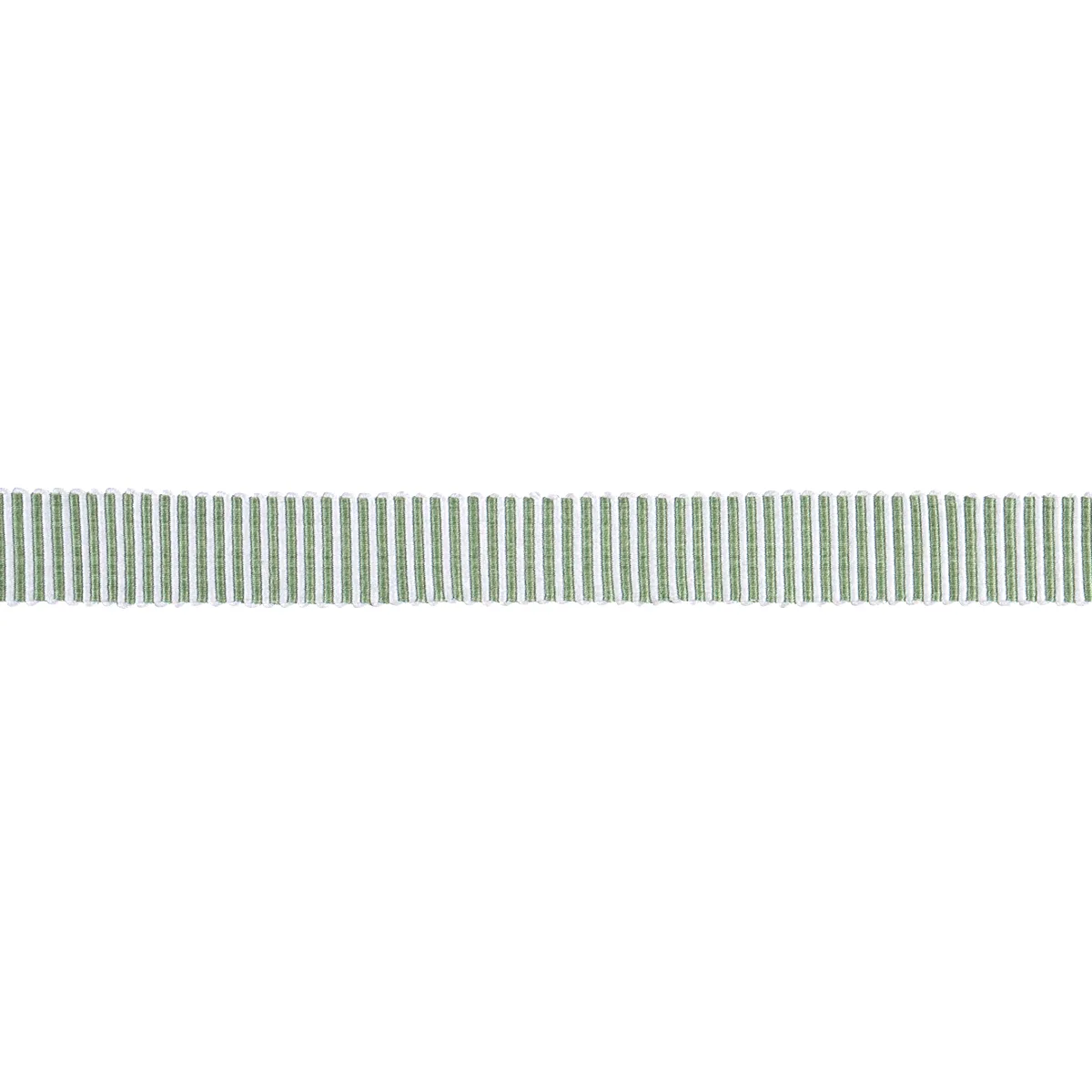 Schumacher Knox Tape Narrow trim in Green (85228)