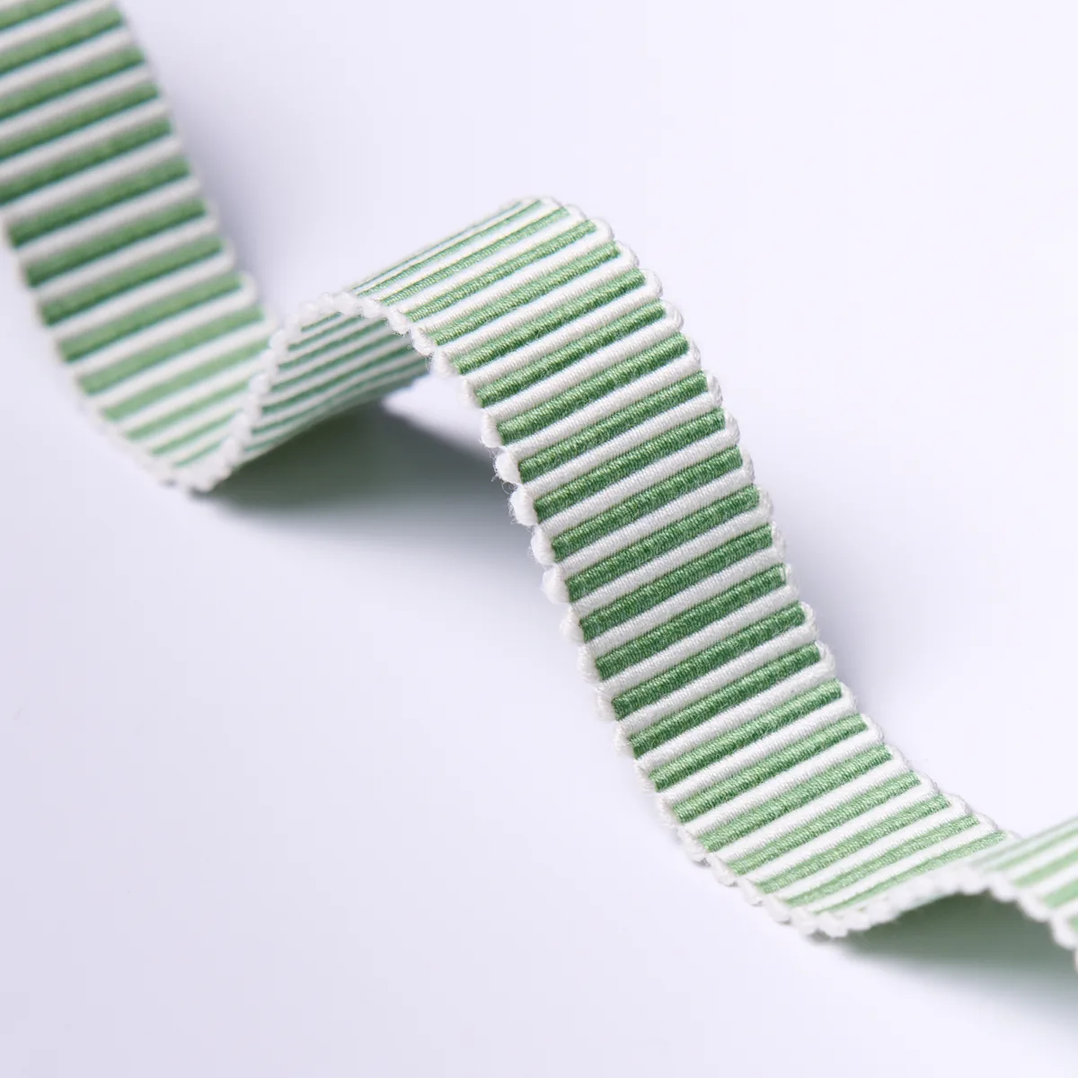 Schumacher Knox Tape Narrow trim in Green (85228)
