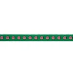 77392 | Ladybird Tape - Pink & Green Schumacher Ladybird Tape trim in Pink & Green (77392)