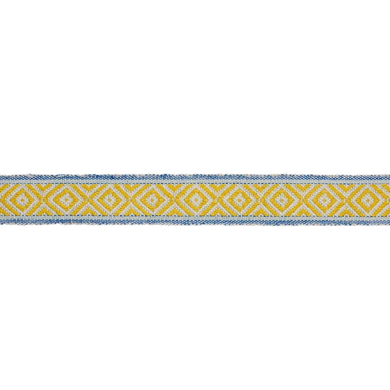 Schumacher Larson Handwoven Tape trim in Yellow & Blue (77460)