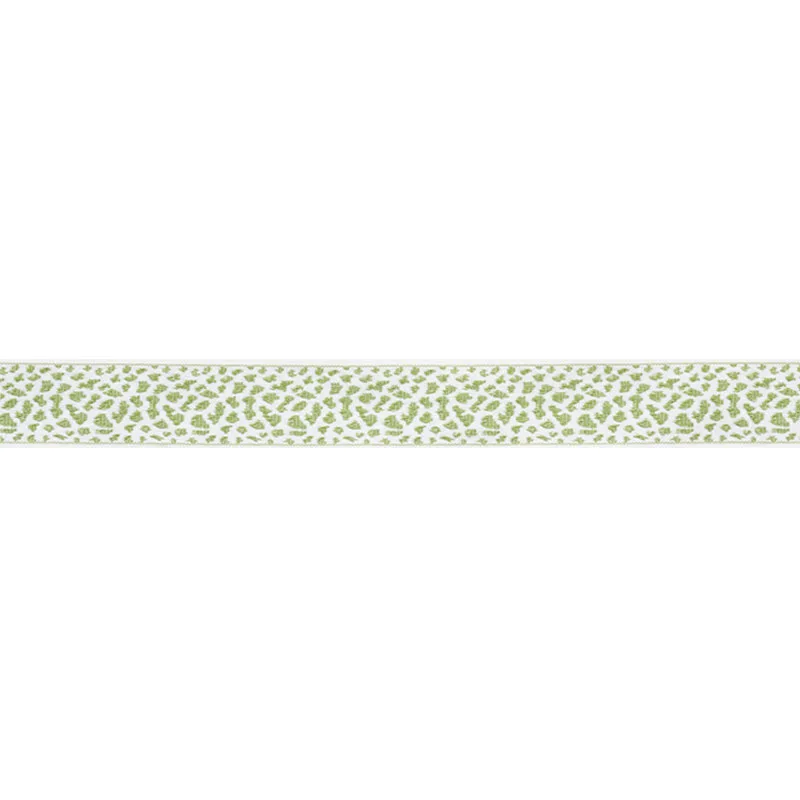 Schumacher Leopard Tape trim in Leaf (75852)