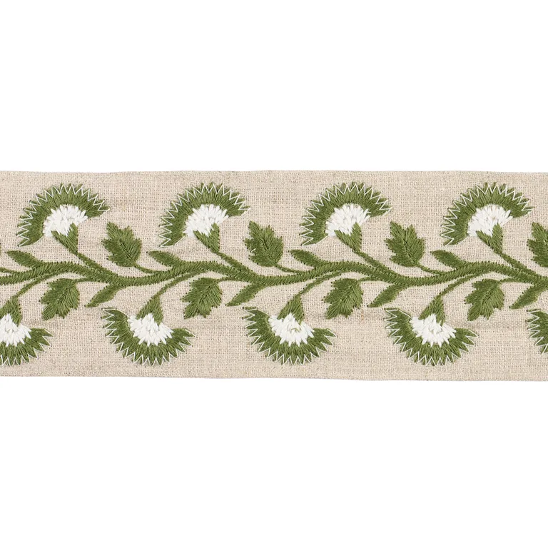 Schumacher Lottie Tape trim in Moss (85654)