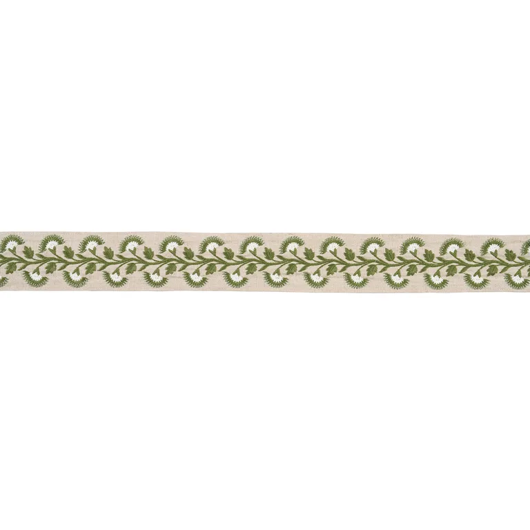 Schumacher Lottie Tape trim in Moss (85654)