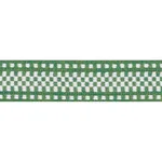 73655 | Marta Tape Indoor/Outdoor - Green Schumacher Marta Tape Indoor/Outdoor trim in Green (73655)