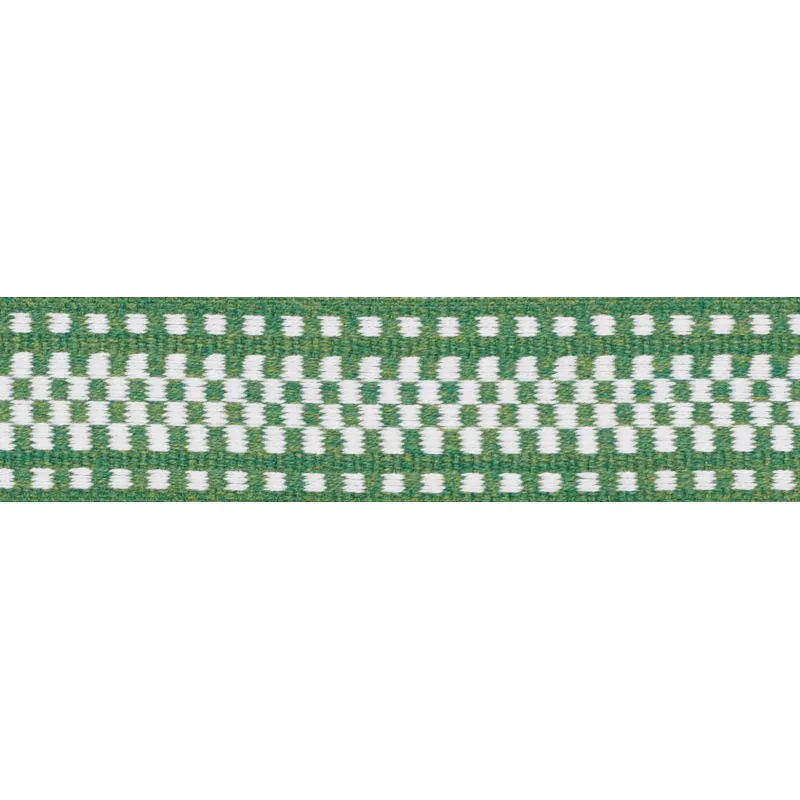 Schumacher Marta Tape Indoor/Outdoor trim in Green (73655)