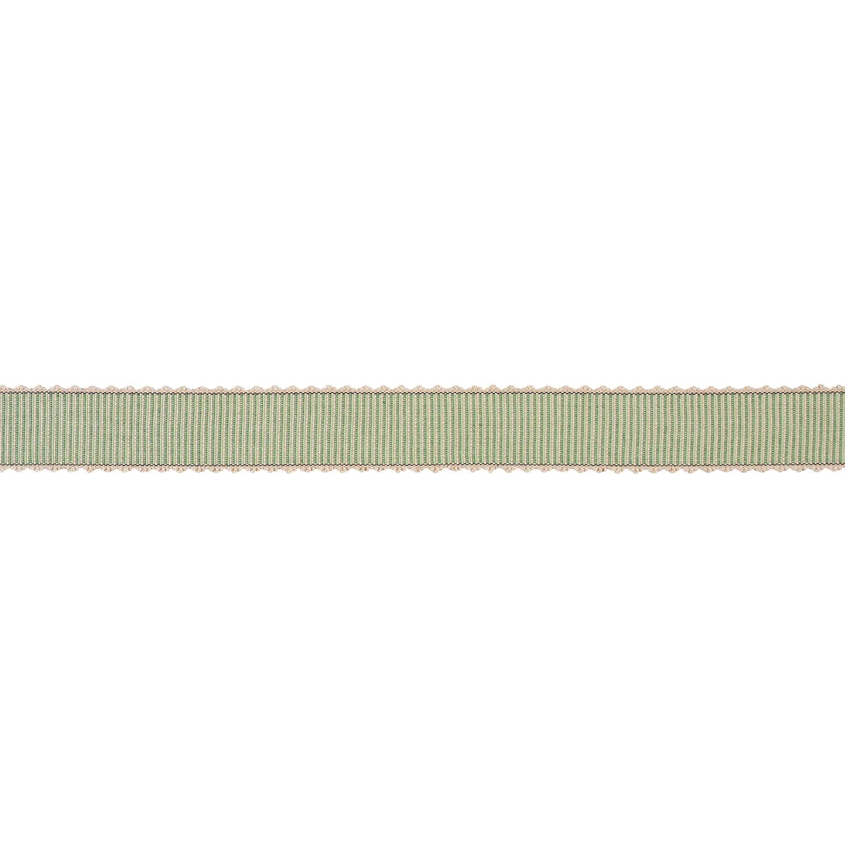 Schumacher Obi Tape trim in Cedar (79723)