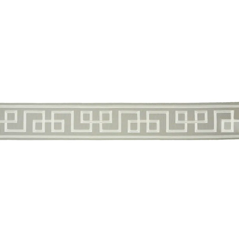 Schumacher Octavius Tape trim in Grey (66167)