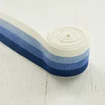 Schumacher Ombre Tape Indoor/Outdoor trim in Blue (79430)