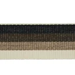 Schumacher Ombre Tape Indoor/Outdoor trim in Neutral (79431)