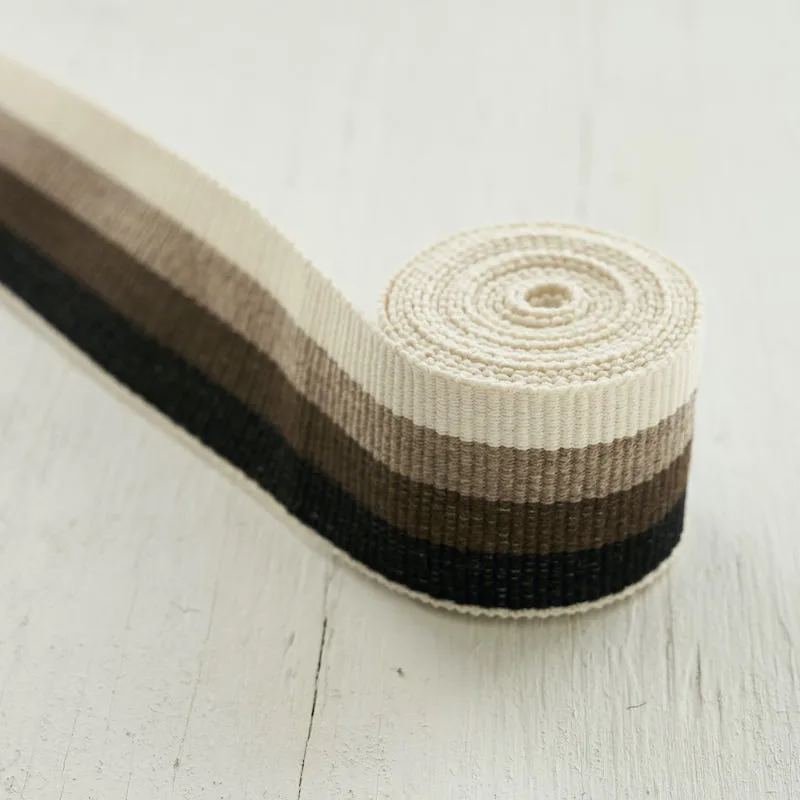 Schumacher Ombre Tape Indoor/Outdoor trim in Neutral (79431)