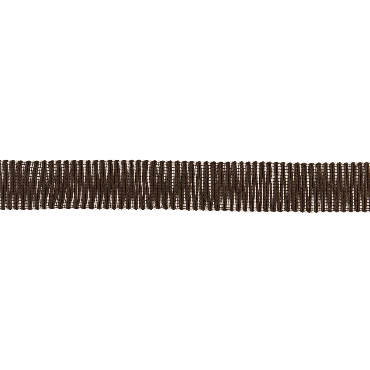 Schumacher Pierce Tape Indoor/Outdoor trim in Brown (79418)