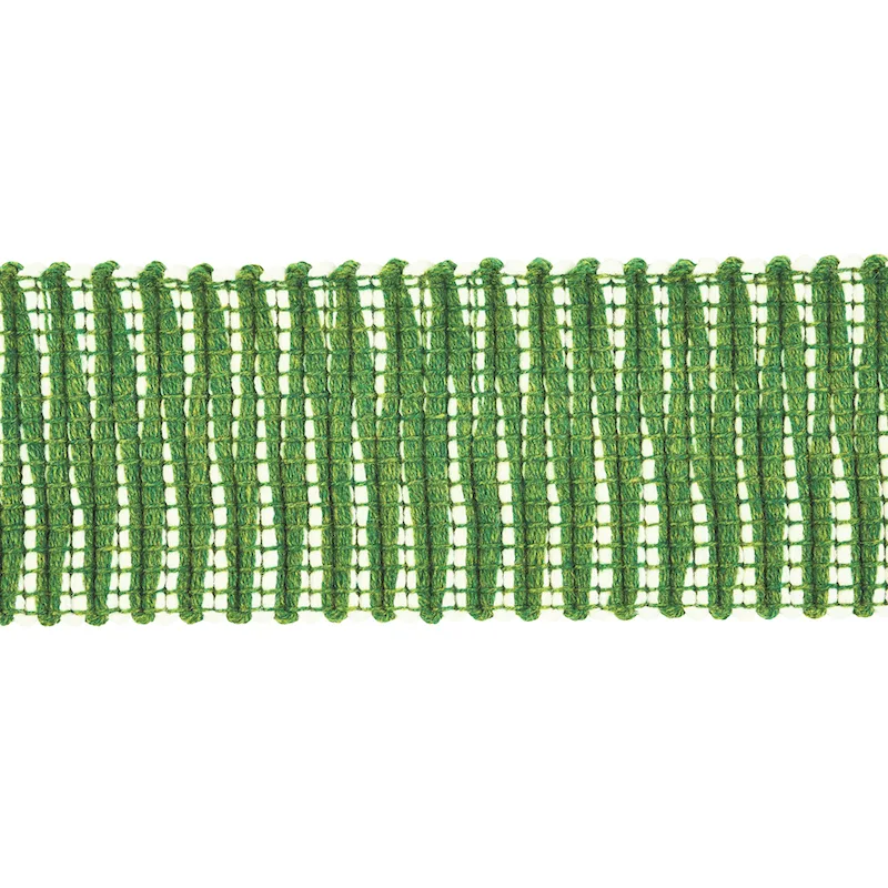Schumacher Pierce Tape Indoor/Outdoor trim in Green (79410)