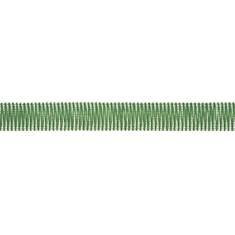 Schumacher Pierce Tape Indoor/Outdoor trim in Green (79410)