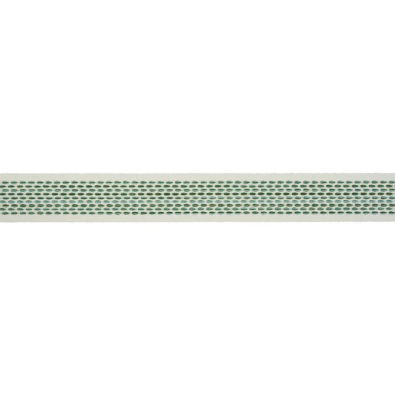 Schumacher Portola Tape Indoor/Outdoor trim in Green (79420)