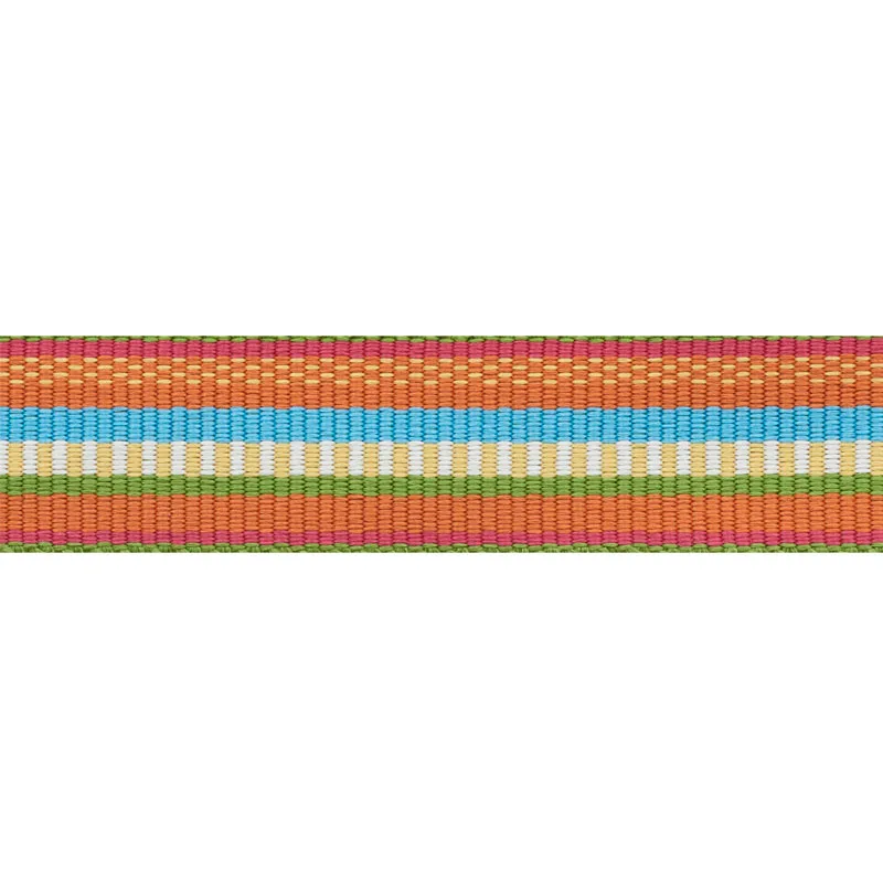 Schumacher Primavera Tape Narrow trim in Marigold (75982)