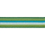 Schumacher Primavera Tape Narrow trim in Meadow (75980)