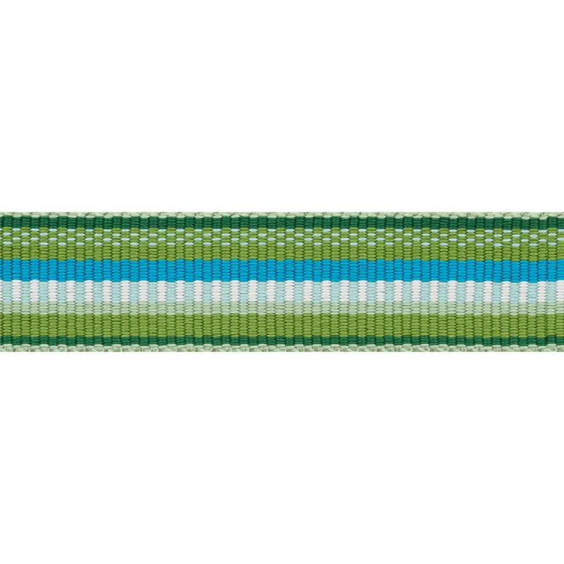 Schumacher Primavera Tape Narrow trim in Meadow (75980)