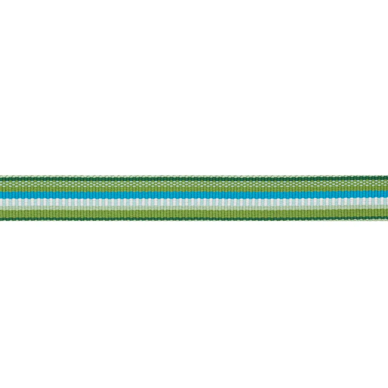 Schumacher Primavera Tape Narrow trim in Meadow (75980)