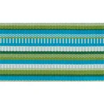 Schumacher Primavera Tape Wide trim in Meadow (75990)