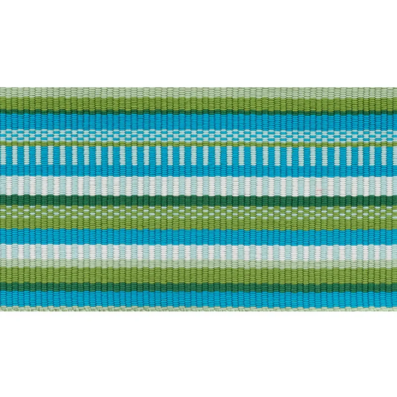 Schumacher Primavera Tape Wide trim in Meadow (75990)