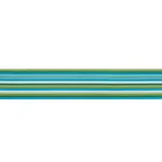 Schumacher Primavera Tape Wide trim in Meadow (75990)